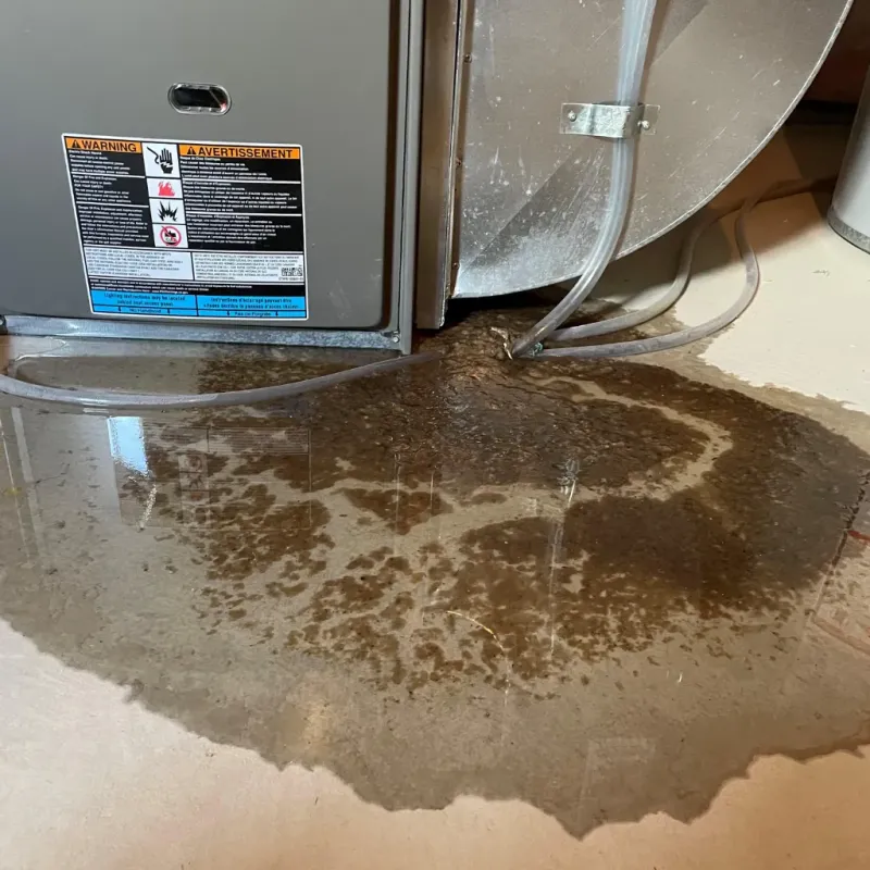 Appliance Leak Cleanup in Martinez, CA